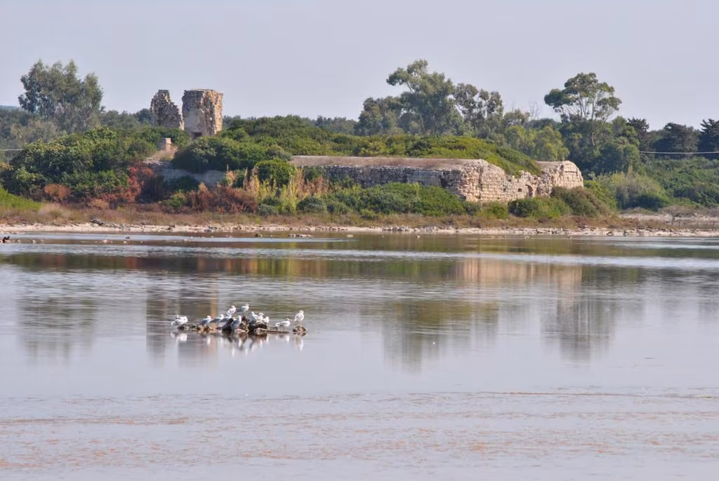 Paesaggio naturale nei dintorni di Castellaneta Marina